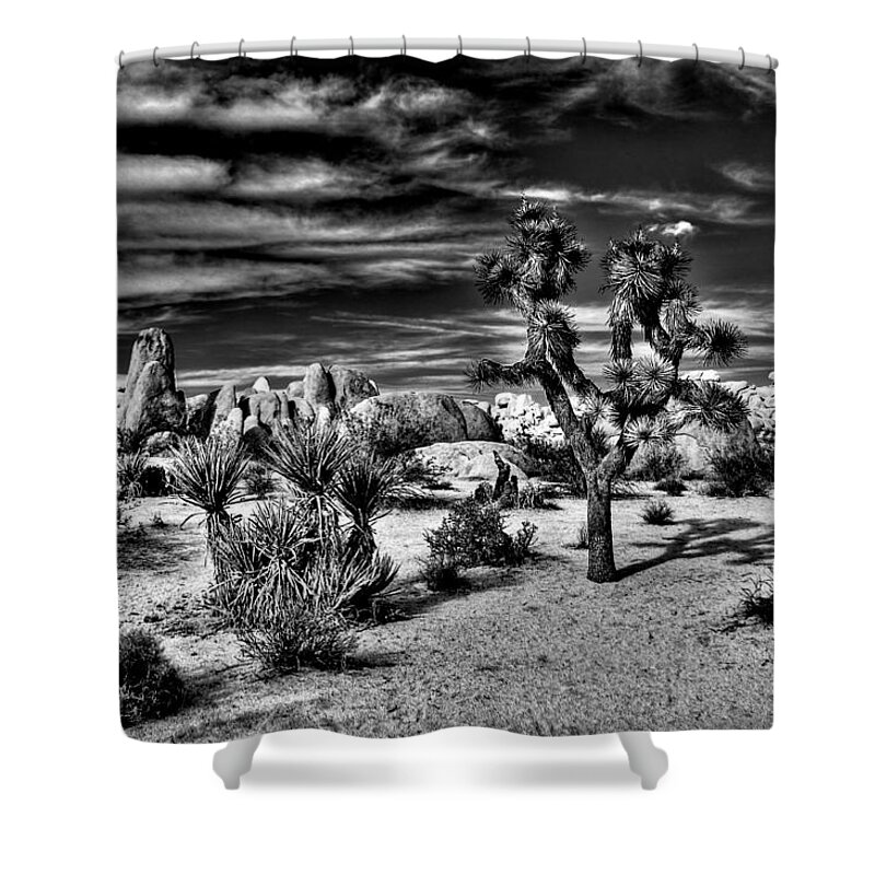 Joshua Tree Shower Curtain featuring the photograph Joshua Tree Black and White #2 by Benjamin Yeager