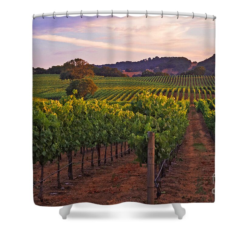 Calistoga Shower Curtain featuring the photograph Knight's Valley Summer Solstice #1 by Charlene Mitchell