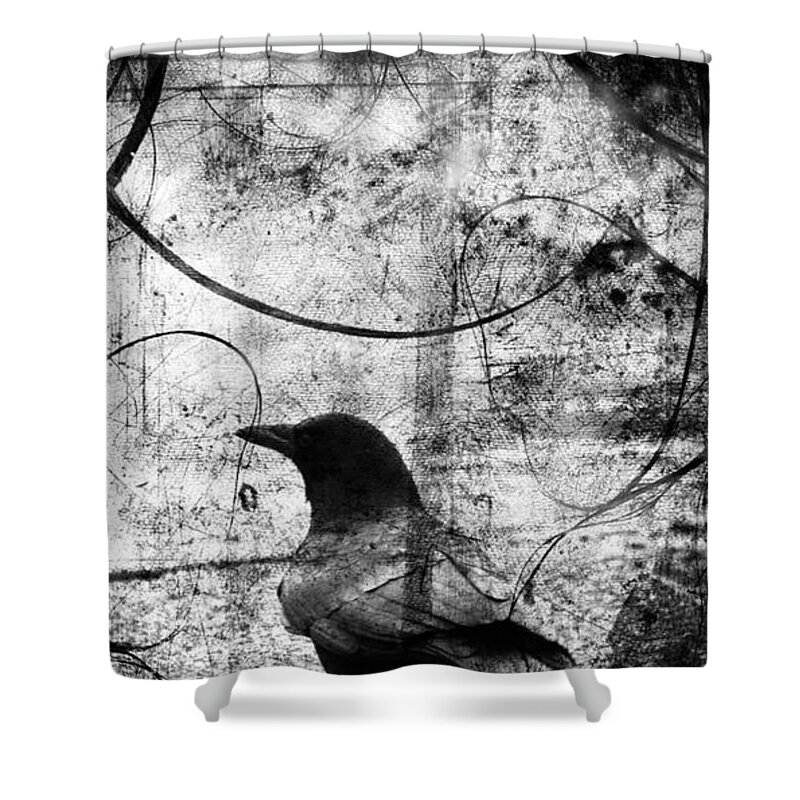 Crow Shower Curtain featuring the photograph Last Call #1 by J C