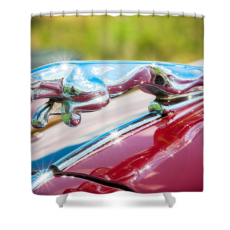 1960 Jaguar Shower Curtain featuring the photograph Leaping Jaguar #1 by Sebastian Musial