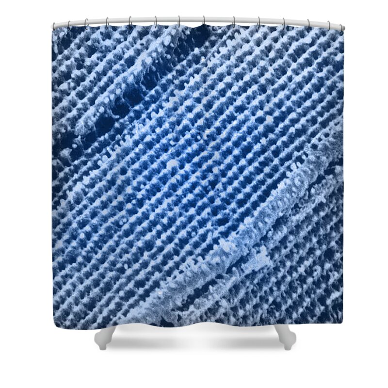 Eye Shower Curtain featuring the photograph Lens, Sem #1 by John Watney