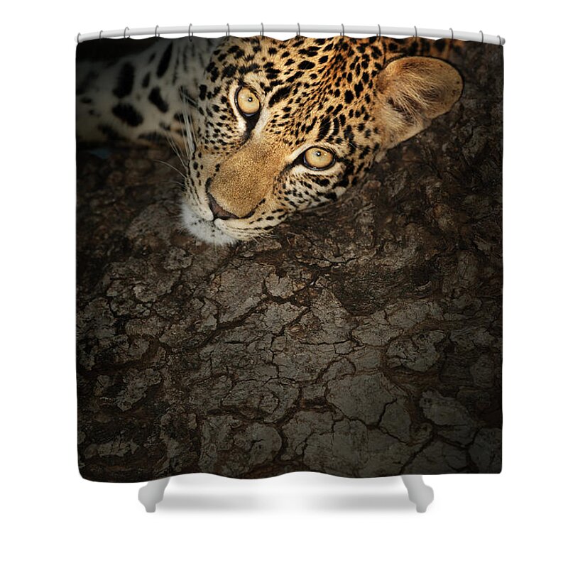 Leopard Shower Curtain featuring the photograph Leopard Portrait #2 by Johan Swanepoel