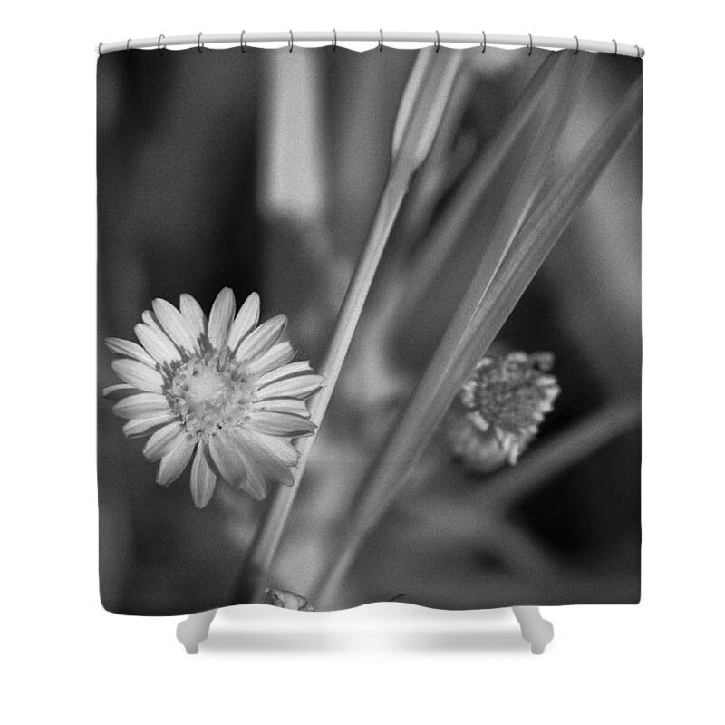 Florida Shower Curtain featuring the photograph Loxahatchee Flower #1 by Bradley R Youngberg