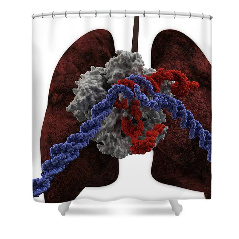 Abnormal Shower Curtain featuring the photograph Lung Cancer Treatment, Crispr-cas9 #1 by Ella Marus Studio