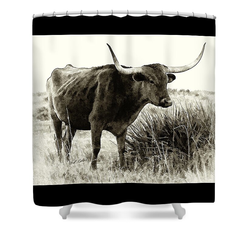 Bill Kesler Photography Shower Curtain featuring the photograph Mama Longhorn by Bill Kesler