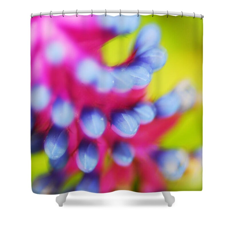 Bromeliad Shower Curtain featuring the photograph Matchstick #1 by Beverly Stapleton