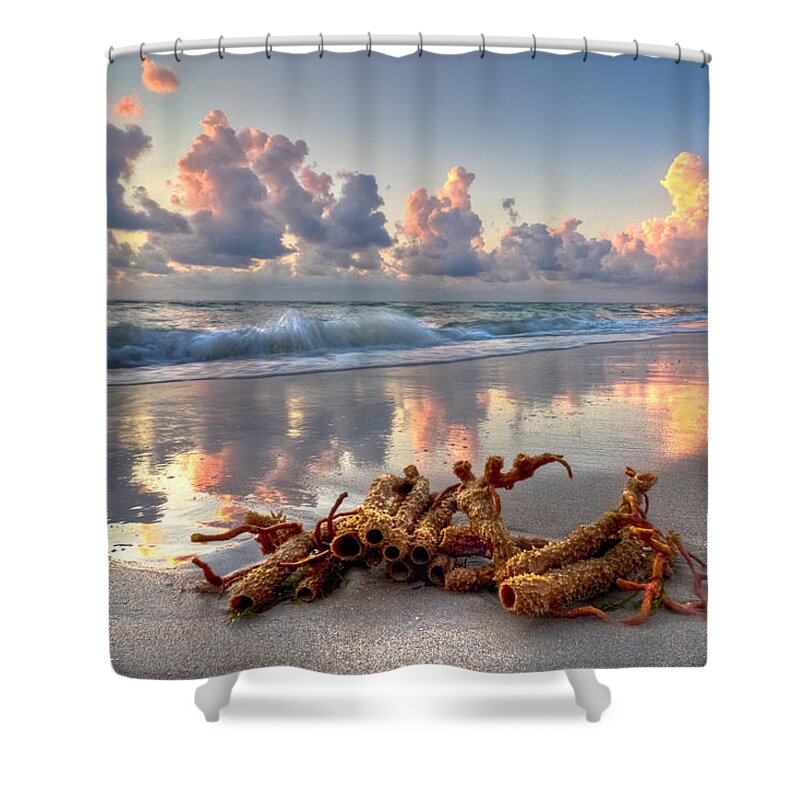 Blowing Shower Curtain featuring the photograph Morning Surf #2 by Debra and Dave Vanderlaan