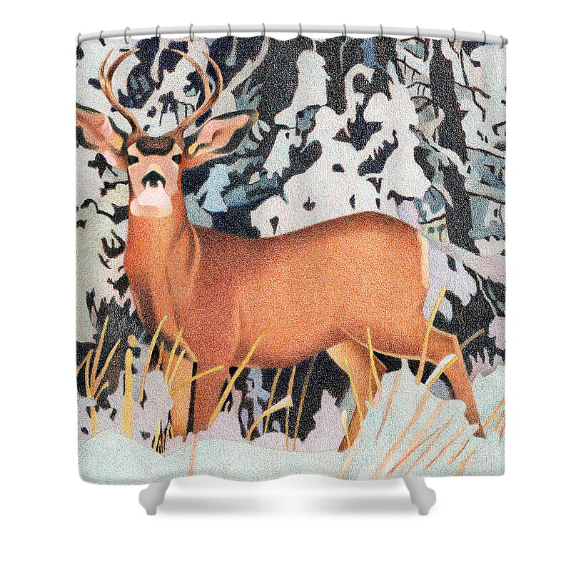 Art Shower Curtain featuring the drawing Mule Deer #2 by Dan Miller