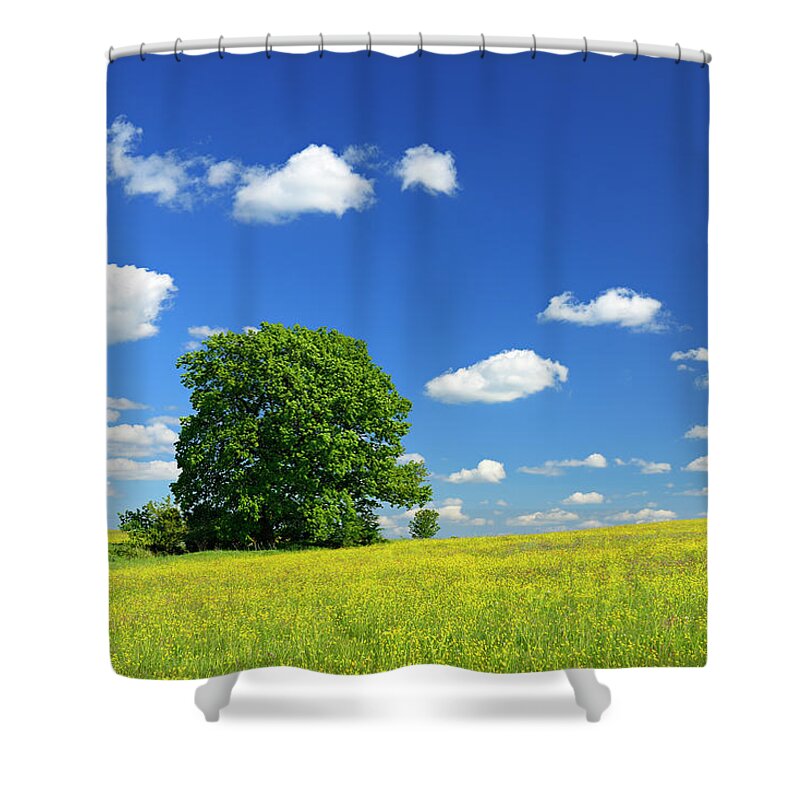 Scenics Shower Curtain featuring the photograph Oak Tree In Wildflower Meadow Under #1 by Avtg