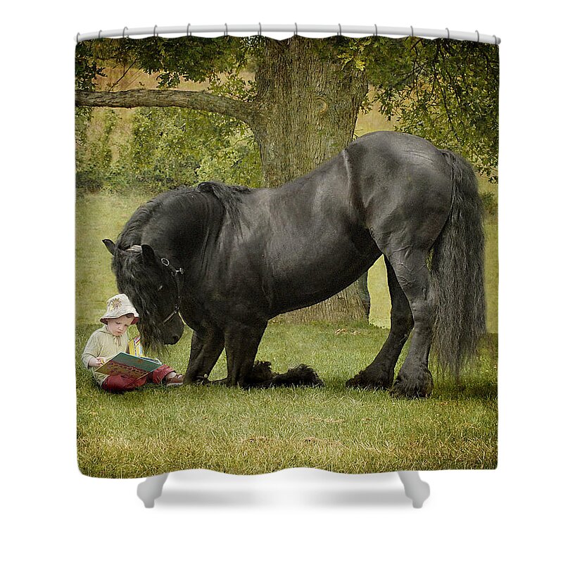 Friesian Shower Curtain featuring the photograph Once Upon A Time by Fran J Scott