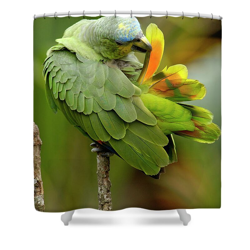 00217468 Shower Curtain featuring the photograph Orange-winged Parrot Amazona Amazonica #2 by Pete Oxford