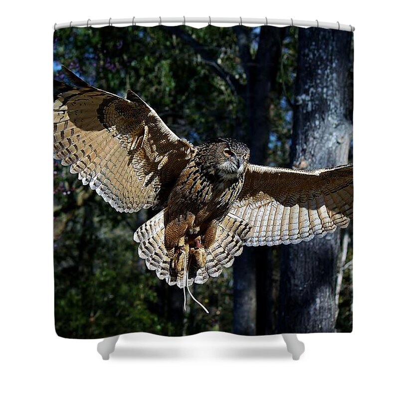 Owl Shower Curtain featuring the photograph Owl In Flight #1 by Paulette Thomas