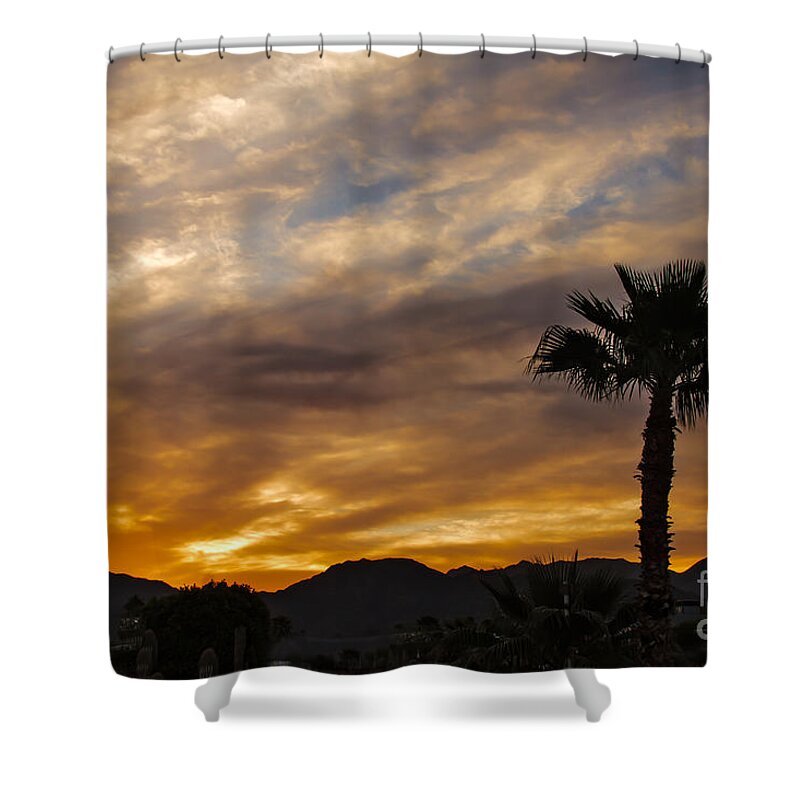 Sunrise Shower Curtain featuring the photograph Palm Tree Silhouette #2 by Robert Bales
