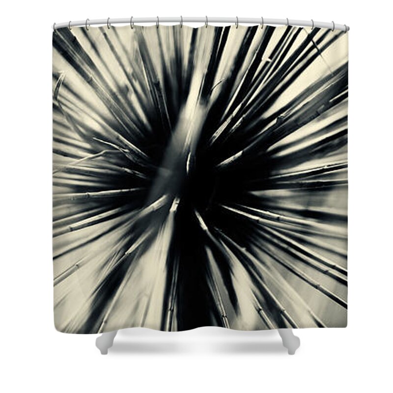 Aquatic Shower Curtain featuring the photograph Papyrus #1 by U Schade