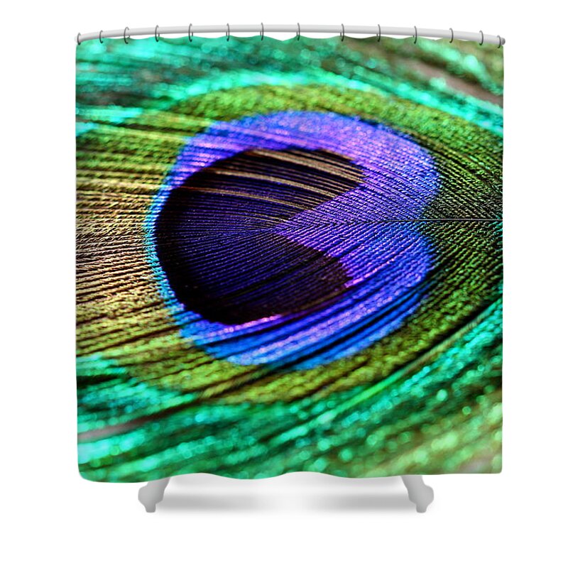Peacock Feather Shower Curtain featuring the photograph Peacock feather #1 by Heike Hultsch