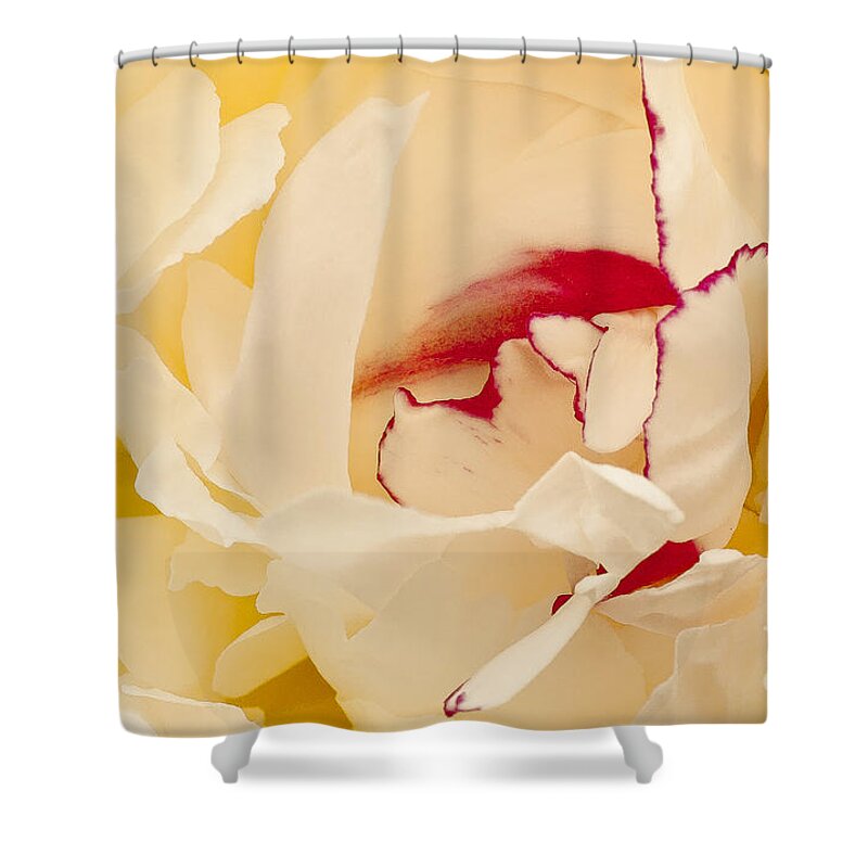 Flower Shower Curtain featuring the photograph Peony by Steven Ralser