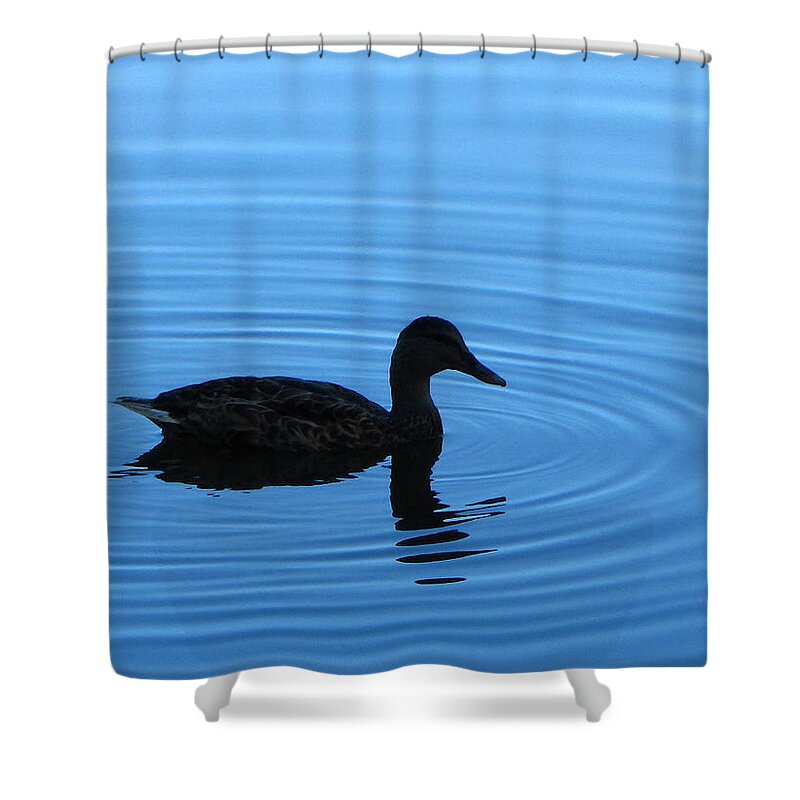 Water Shower Curtain featuring the photograph Pondering by Tikvah's Hope