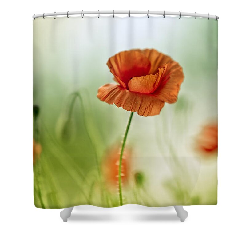 Poppy Shower Curtain featuring the photograph Poppy Meadow #1 by Nailia Schwarz