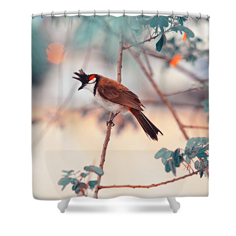 Nature Shower Curtain featuring the photograph Red-Whiskered Bulbul. Nature in Alien Skin #1 by Jenny Rainbow