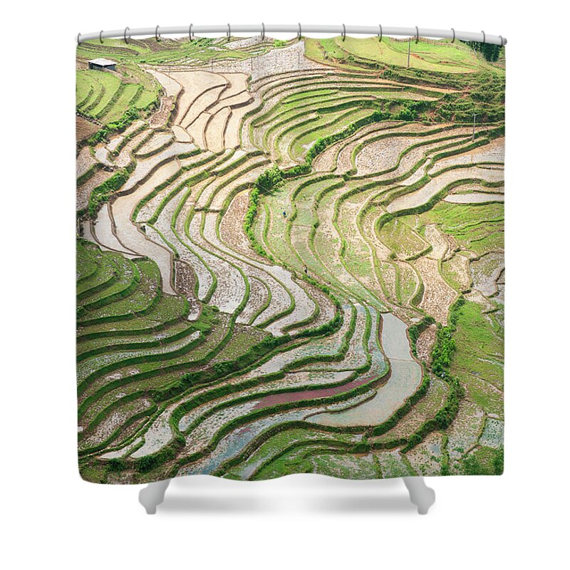 Tranquility Shower Curtain featuring the photograph Rice Paddies In Vietnam #1 by Carlo A