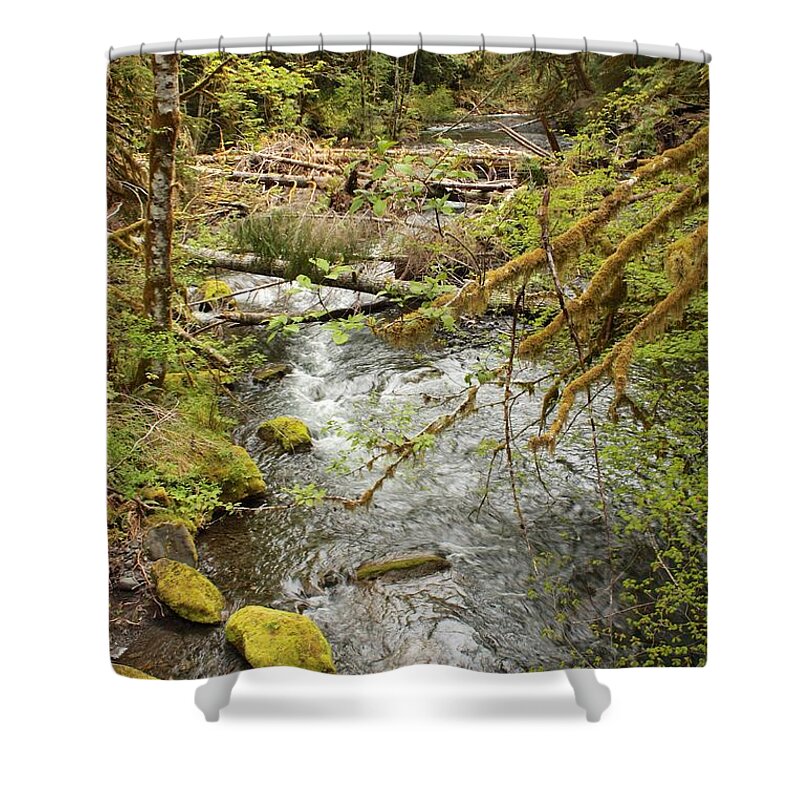 Northwest Shower Curtain featuring the photograph River through the Rainforest #2 by Carol Groenen