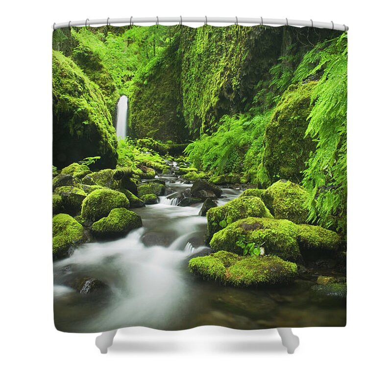 Grass Shower Curtain featuring the photograph Ruckel Creek Waterfall, Columbia River #1 by Alan Majchrowicz