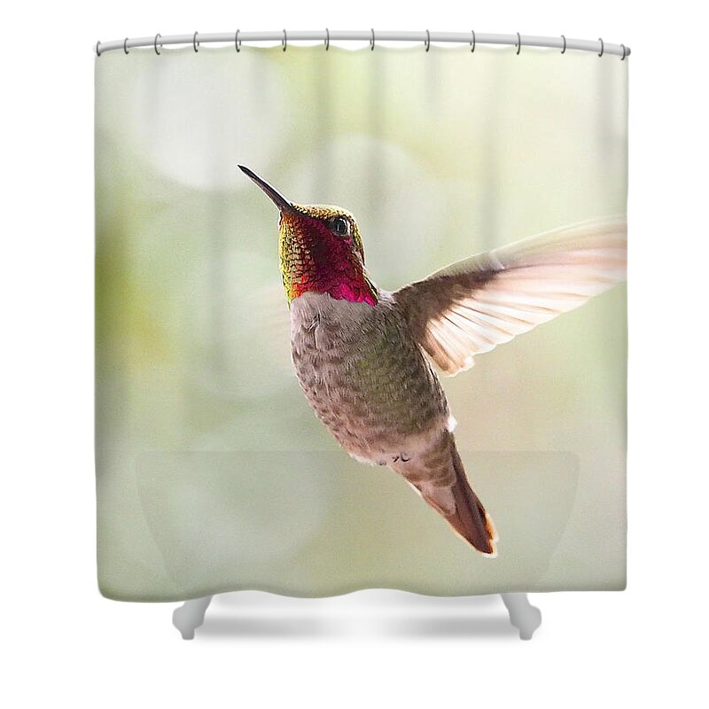 Birds Shower Curtain featuring the photograph Ballet by Parrish Todd