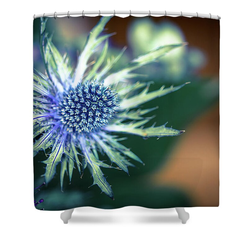Outdoors Shower Curtain featuring the photograph Sea Holly #1 by S0ulsurfing - Jason Swain