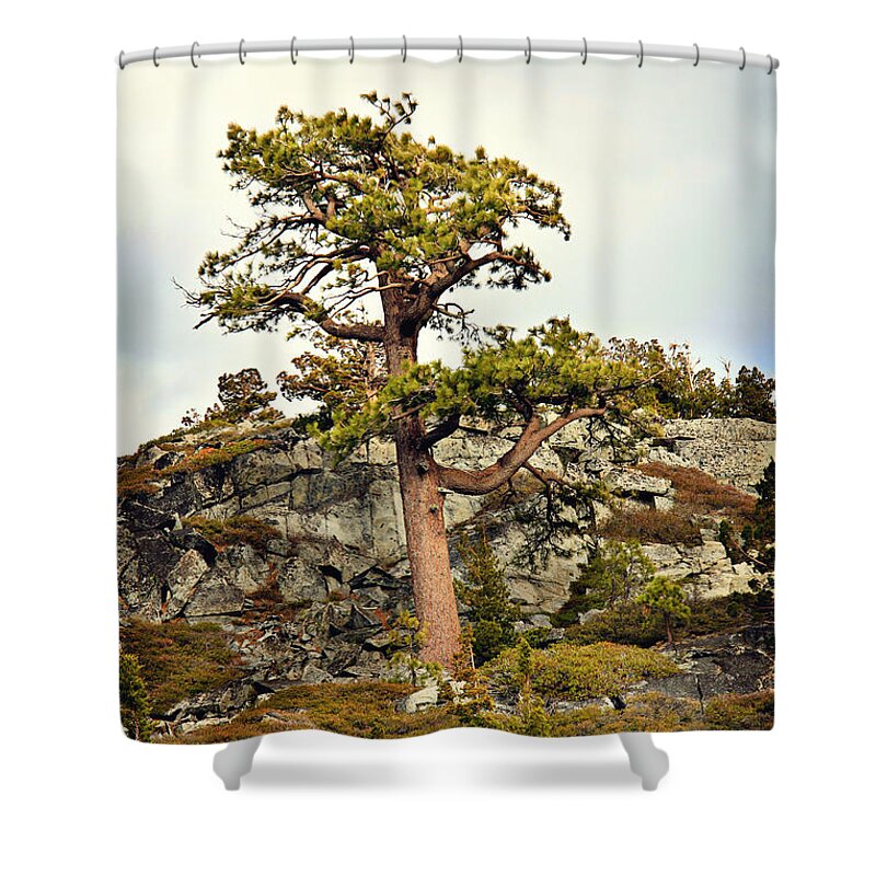 Pine Shower Curtain featuring the photograph Sierra Landscape #1 by Shawn McMillan
