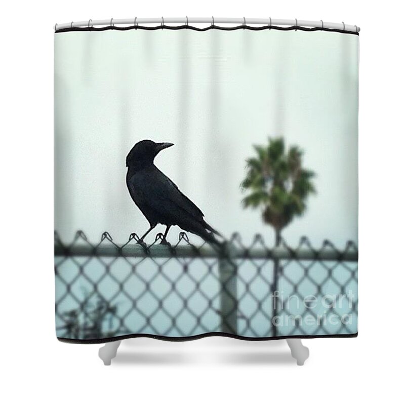 Crow Shower Curtain featuring the photograph Silhouette by Denise Railey