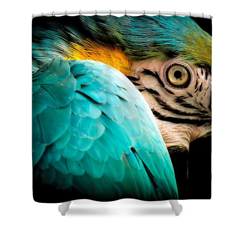 Macaws Shower Curtain featuring the photograph Sleeping Beauty by Karen Wiles