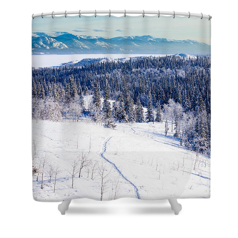 Activity Shower Curtain featuring the photograph Snowshoe taiga trail landscape Yukon T Canada #1 by Stephan Pietzko
