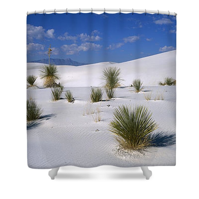 Feb0514 Shower Curtain featuring the photograph Soaptree Yucca In Gypsum Dunes White #1 by Konrad Wothe