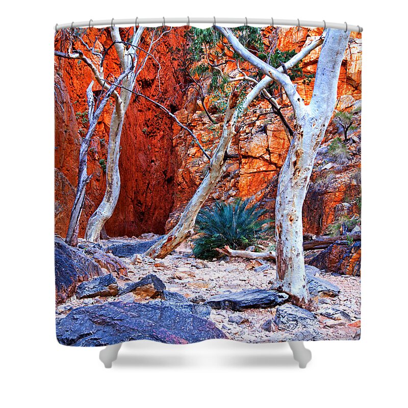 Stanley Chasm Outback Central Australia Landscape Northern Territory Australian West Mcdonnell Ranges Shower Curtain featuring the photograph Stanley Chasm #1 by Bill Robinson