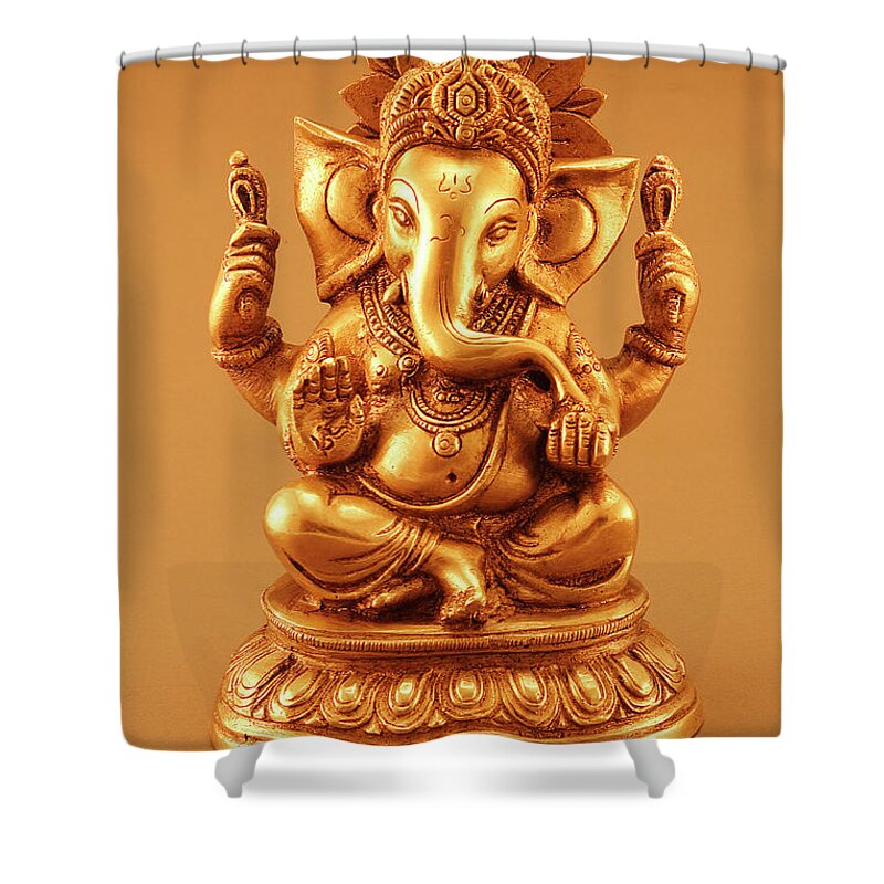 Hinduism Shower Curtain featuring the photograph Statue Of Lord Ganesh #1 by Visage