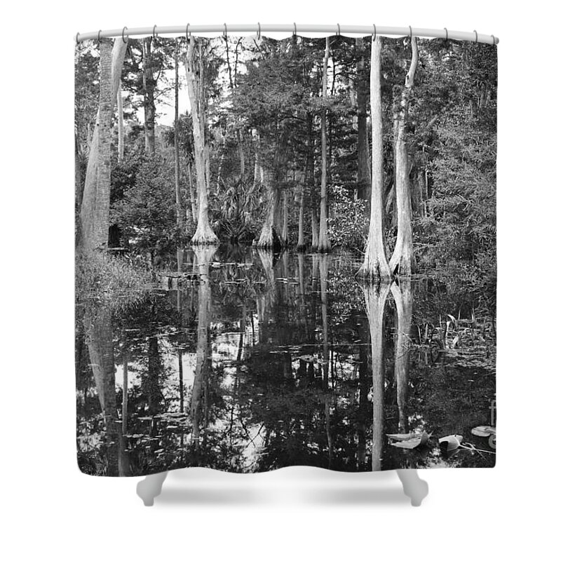 Swamp Shower Curtain featuring the photograph Swampland #1 by Carey Chen