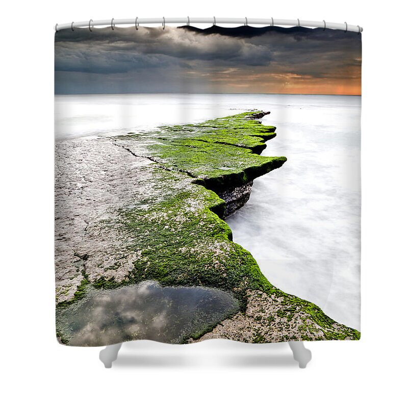 Waterscape Shower Curtain featuring the photograph The green path by Jorge Maia
