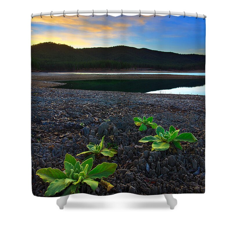 Beauty Shower Curtain featuring the photograph The Way Of Life #1 by Kadek Susanto