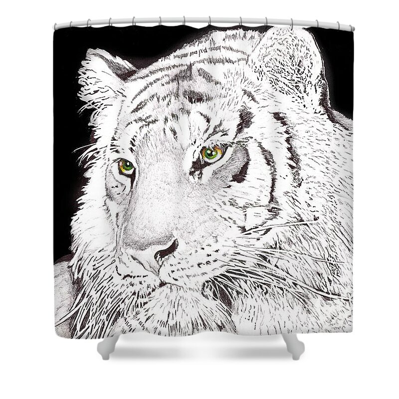 Tiger Shower Curtain featuring the drawing Tiger #1 by Bill Richards