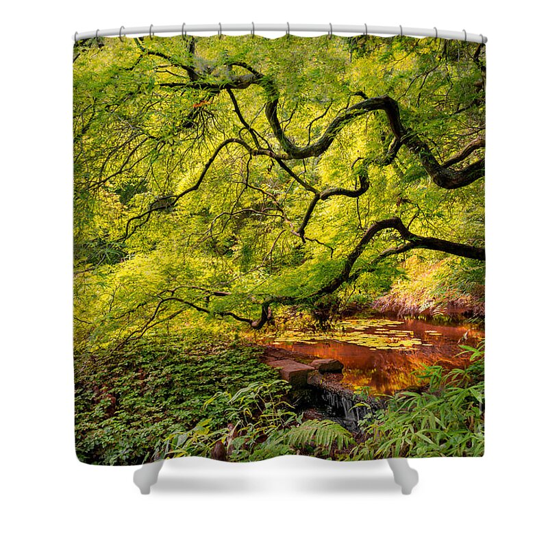  Shower Curtain featuring the photograph Tranquil Shade by Mark Rogers