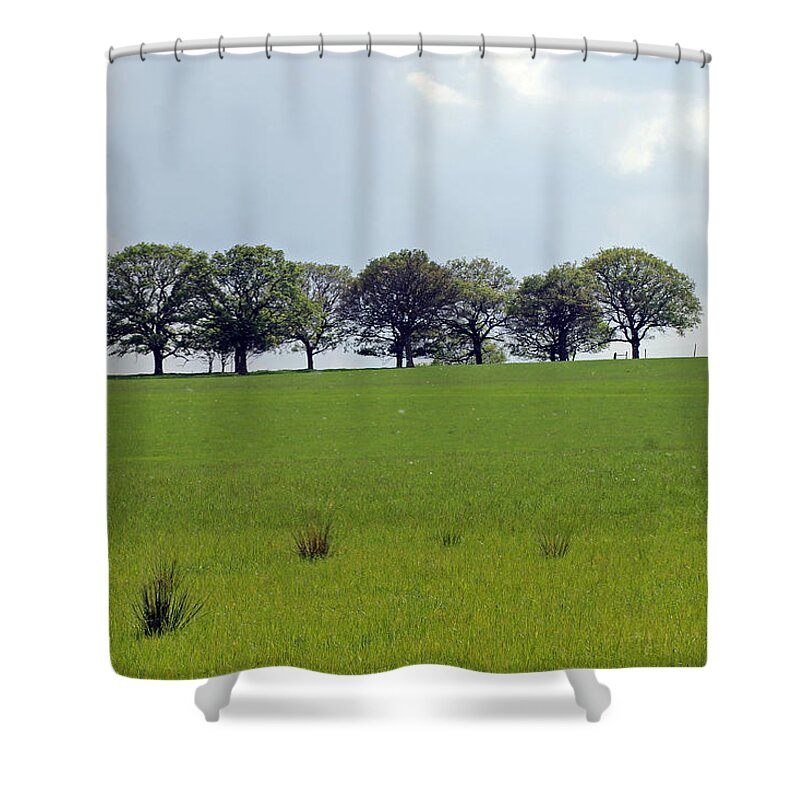Tree Line Shower Curtain featuring the photograph Tree line #1 by Tony Murtagh