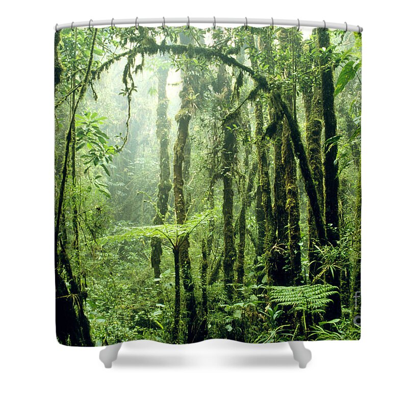Cloud Forest Shower Curtain featuring the photograph Tropical Cloud Forest In Costa Rica #1 by Gregory G. Dimijian