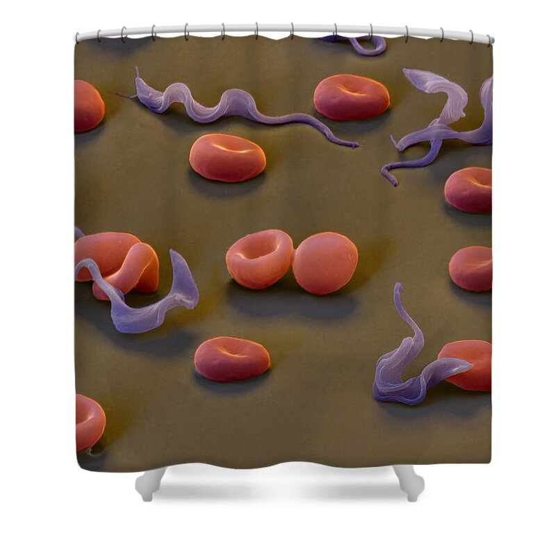 Magnification Shower Curtain featuring the photograph Trypanosomes #1 by Eye of Science