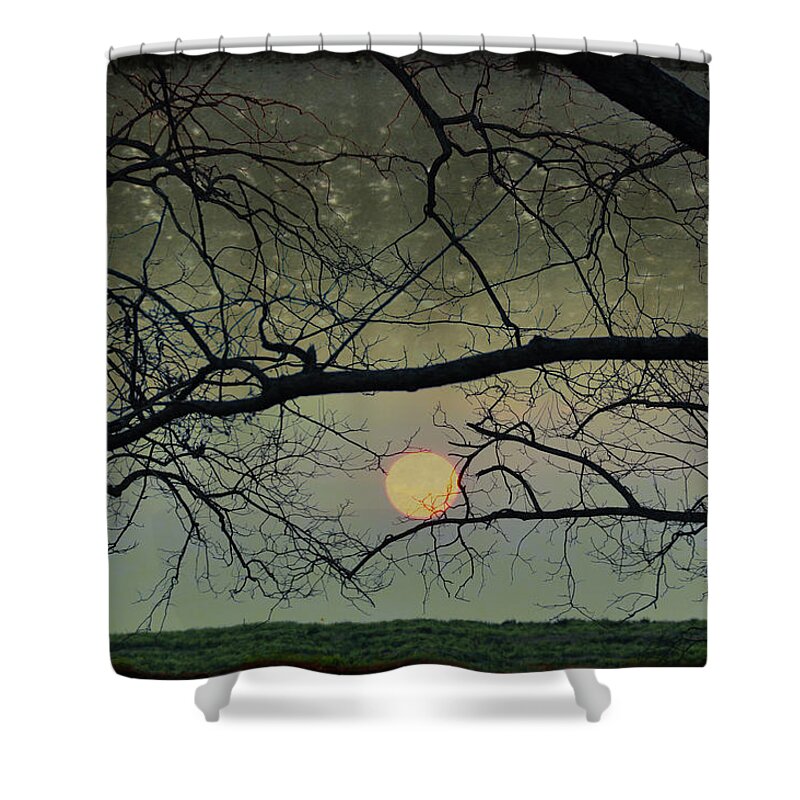Night Shower Curtain featuring the photograph Twilight #2 by Jan Amiss Photography