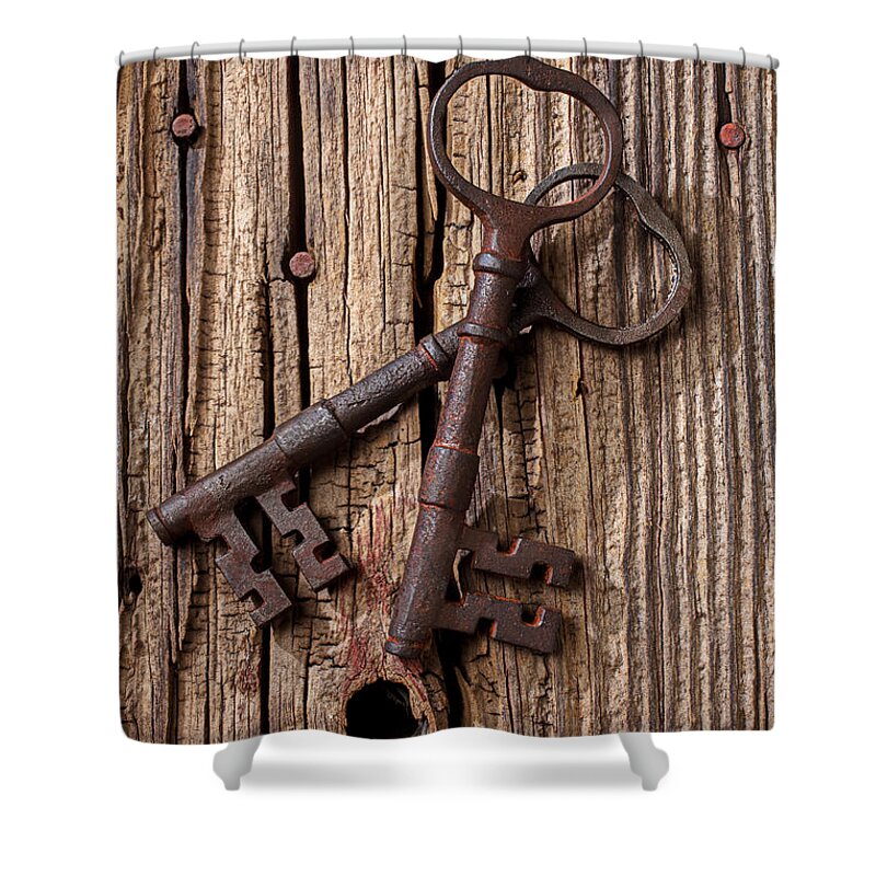 Two Objects Shower Curtain featuring the photograph Two Old Skeletons Keys #1 by Garry Gay