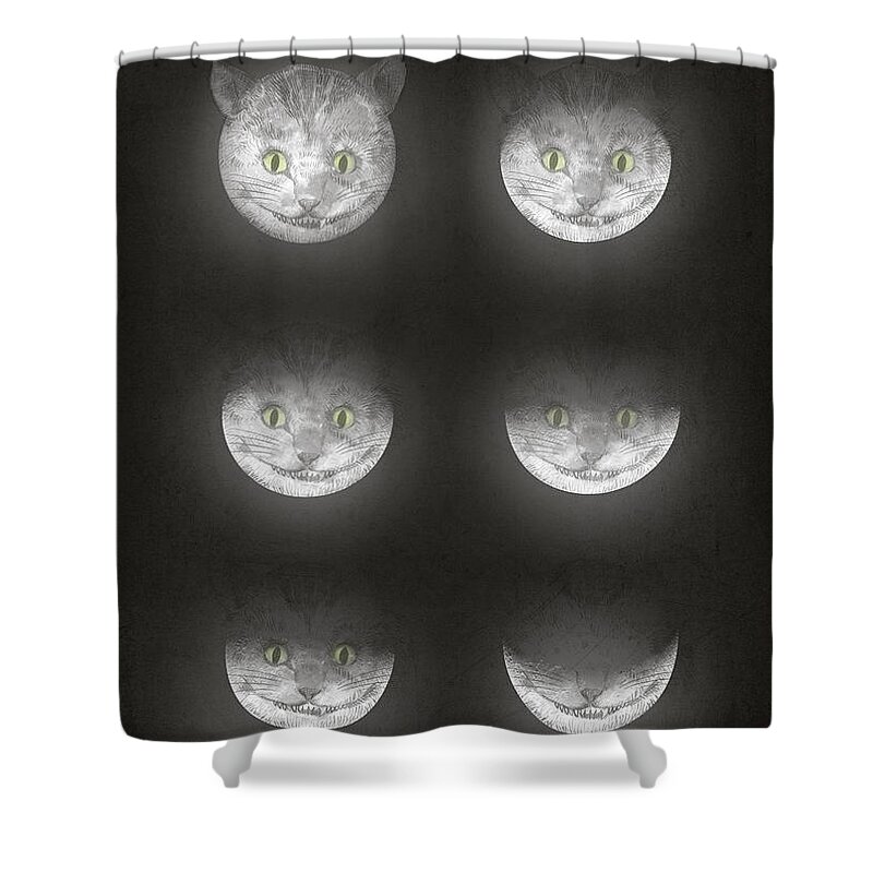 Cats Shower Curtain featuring the drawing Waning Cheshire by Eric Fan
