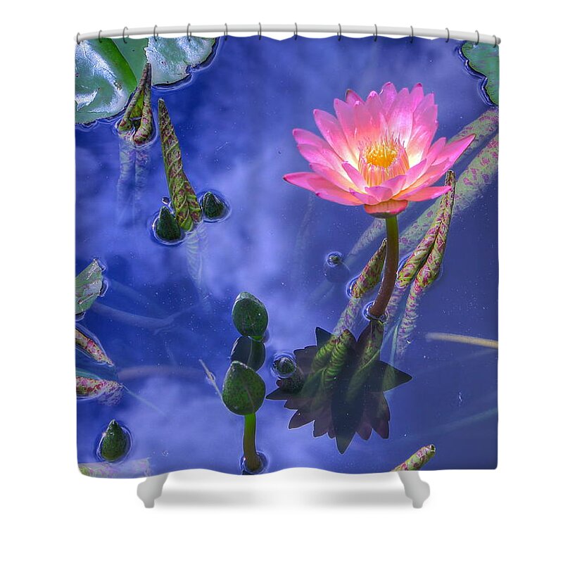 Water Shower Curtain featuring the photograph Flower 7 by Albert Fadel