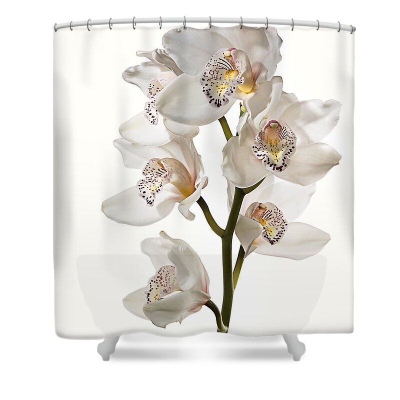 Flower Shower Curtain featuring the photograph White Orchids by Endre Balogh