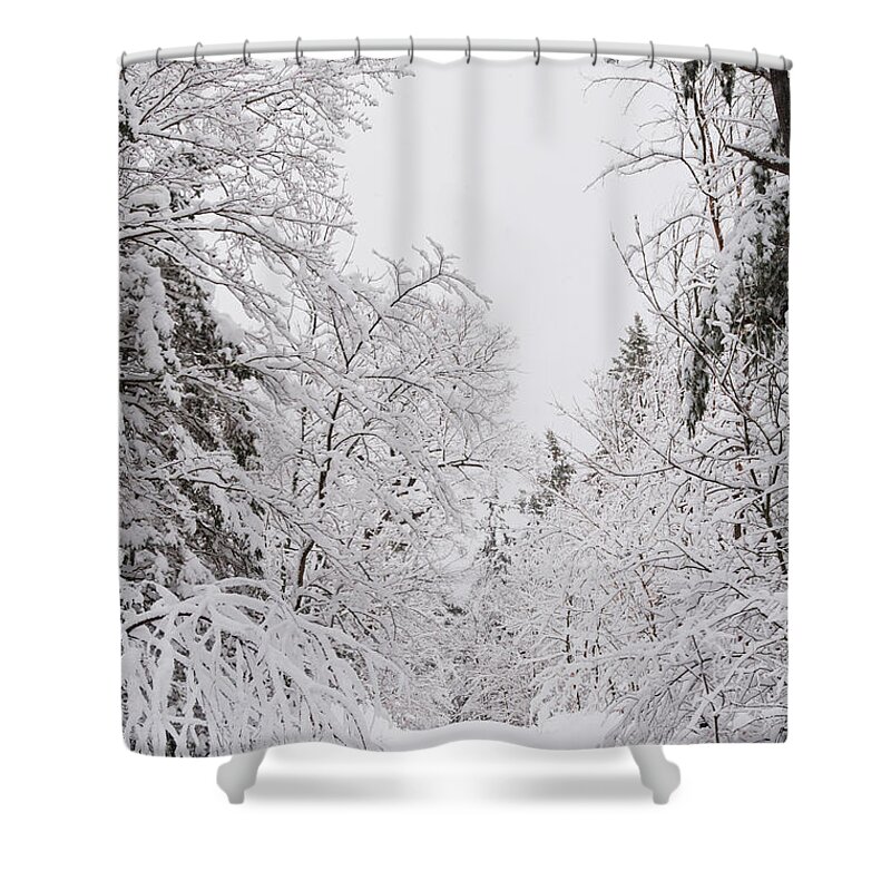  Shower Curtain featuring the photograph Winter Road #1 by Cheryl Baxter