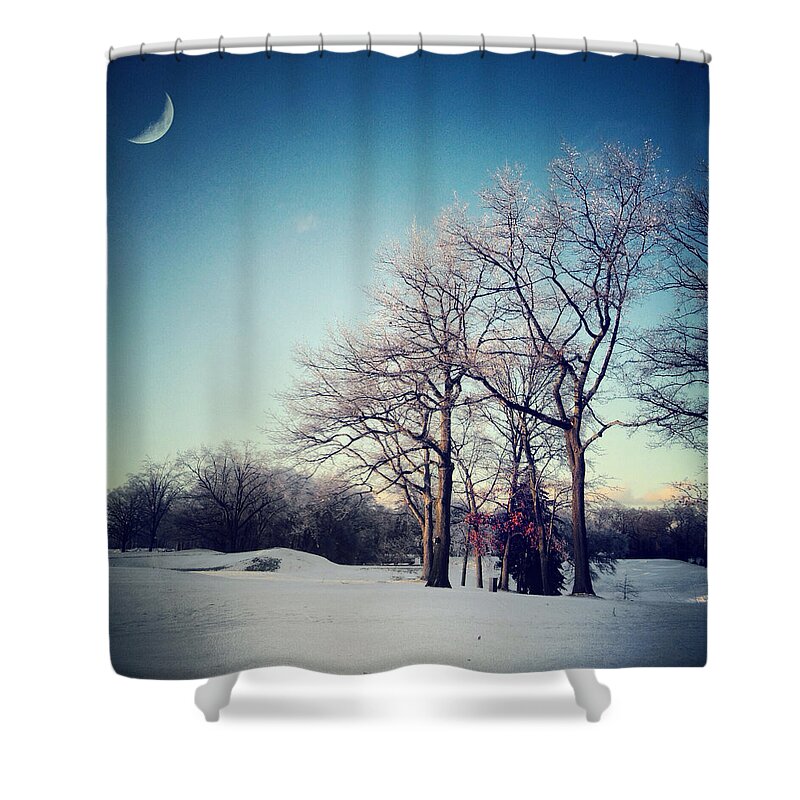 Trees Shower Curtain featuring the photograph Winter's Eden #2 by Natasha Marco